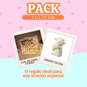 Pack Tulipán featuring a cute lamb plushie and a decorative tulip box for special occasions.