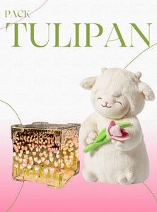 Pack Tulipán (corderito y cajita)